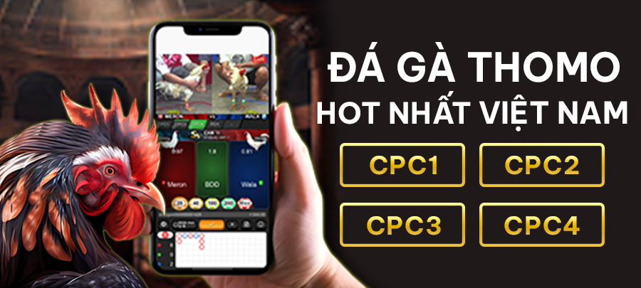 Đá gà thomo Bacty88