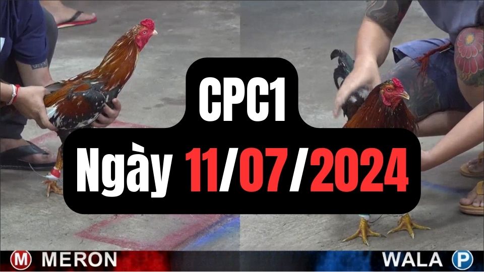 Tổng hợp đá gà thomo CPC1 11-07-2024