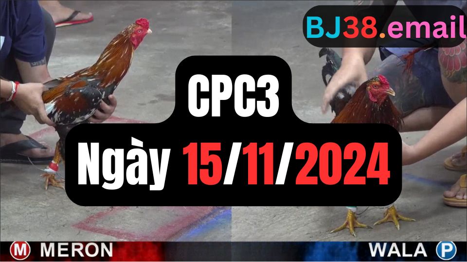 Tổng hợp đá gà thomo CPC3 15-11-2024