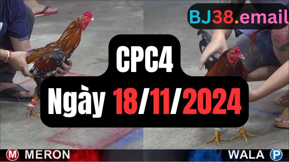 Tổng hợp đá gà thomo CPC4 18-11-2024
