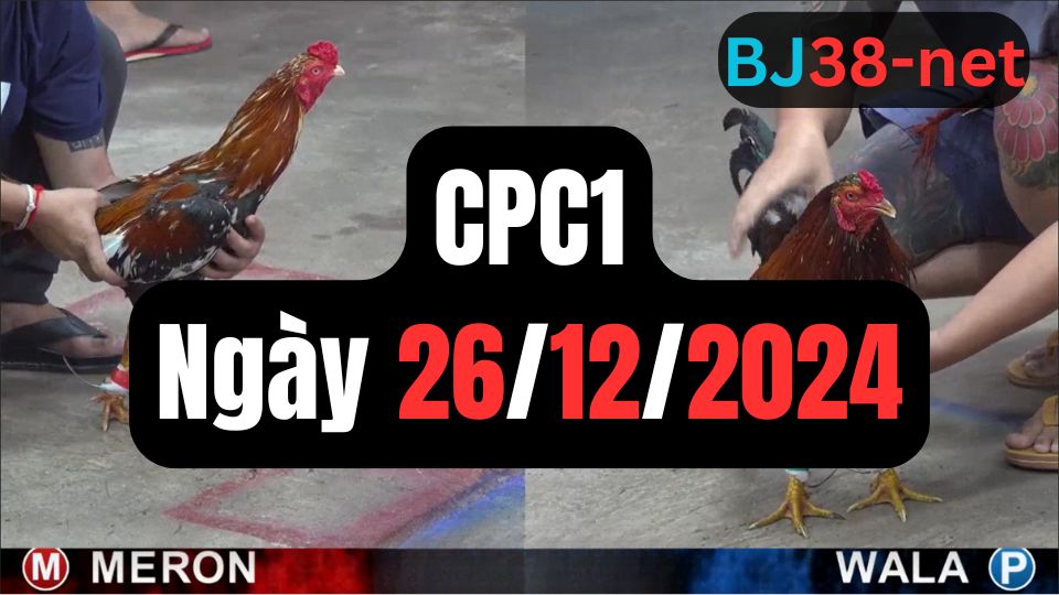 Tổng hợp đá gà thomo CPC1 26-12-2024