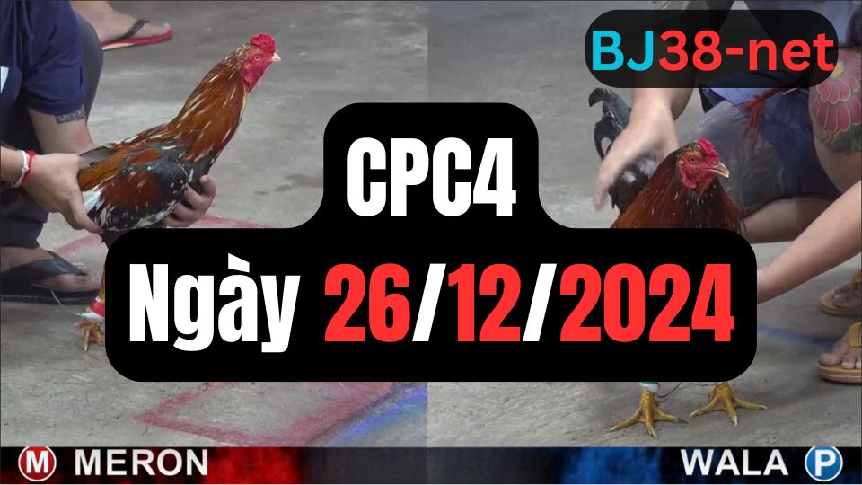 Tổng hợp đá gà thomo CPC4 26-12-2024